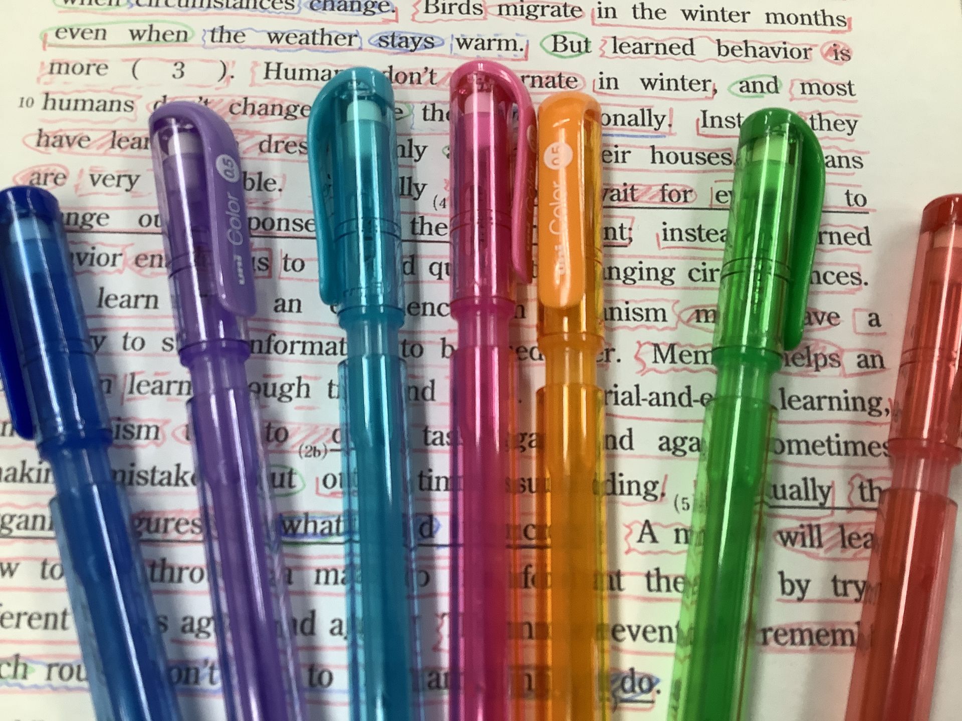 D335EEC5-6D1B-43BF-9AFC-19ED..